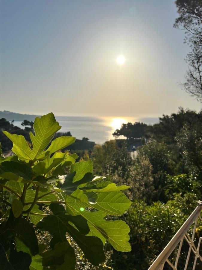Limonaia In Salento Villa Marittima Buitenkant foto