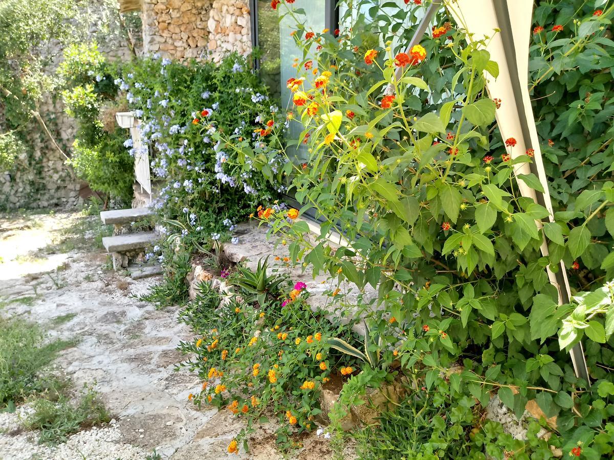Limonaia In Salento Villa Marittima Buitenkant foto